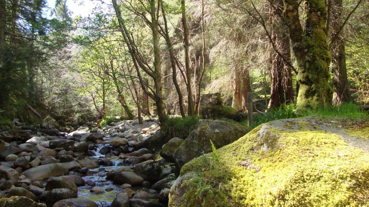فيلا بالاتْشولِشفي The Glen المظهر الخارجي الصورة